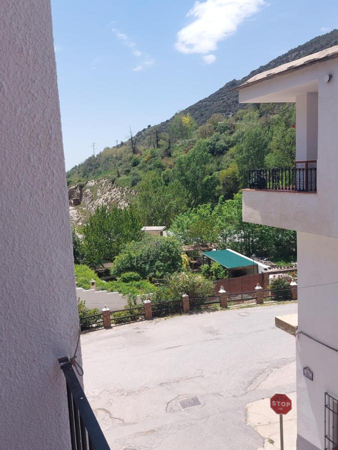 Appartement Rey Melchor *